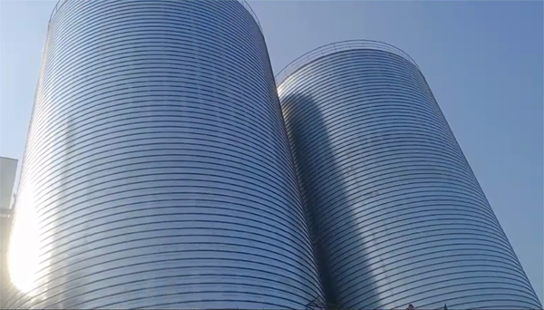 容县2座混凝土高架卷板仓